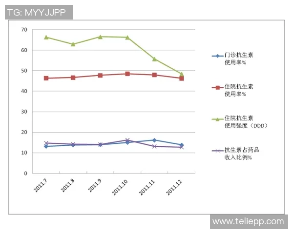 上海排球队的转型之路与未来发展趋势分析