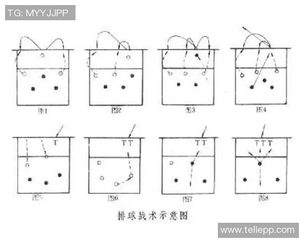 广州排球队中路突破的战术解析与深度剖析