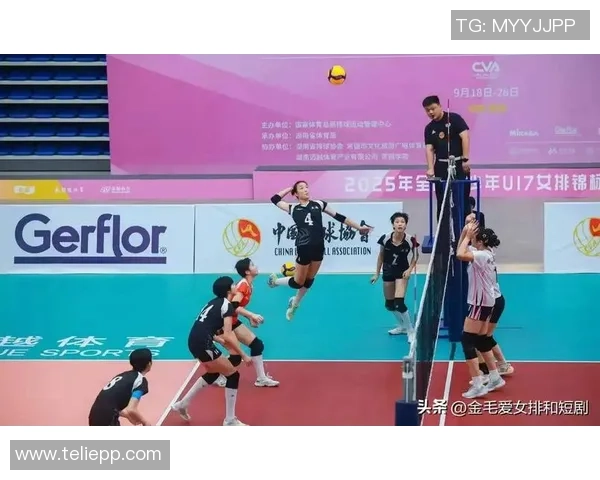 广州排球队实力飙升创造排球力量新高峰 广州排球队实力飙升创造排球力量新高峰