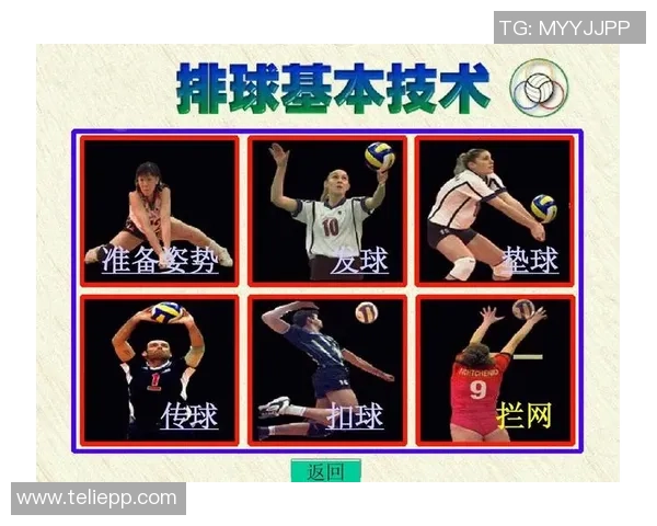 西安排球队的战术变革与未来发展趋势深度解析