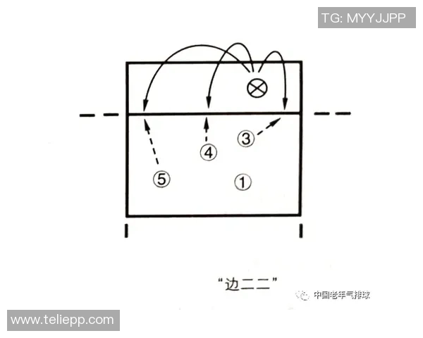 上海排球队反击体系解析与战术创新探索