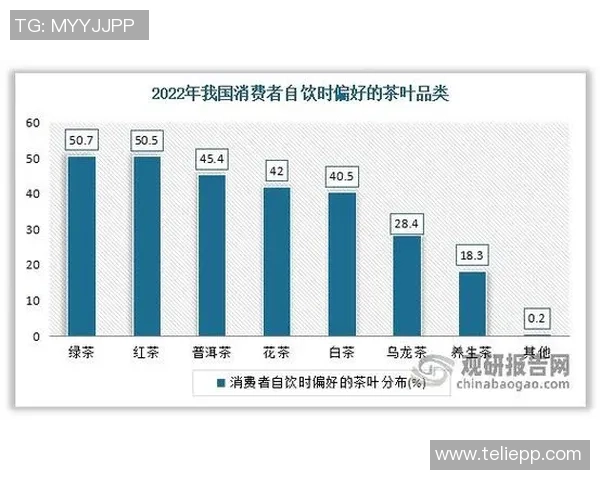 南京羽毛球队近期状态深度对比分析及未来发展趋势探讨