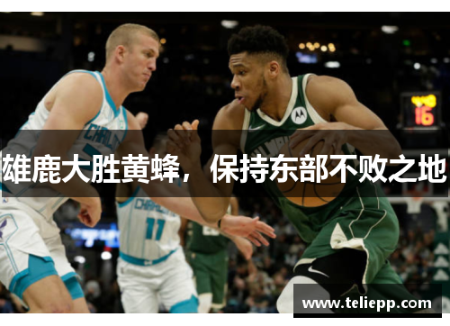 雄鹿大胜黄蜂，保持东部不败之地