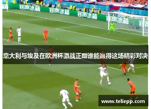 意大利与埃及在欧洲杯激战正酣谁能赢得这场精彩对决